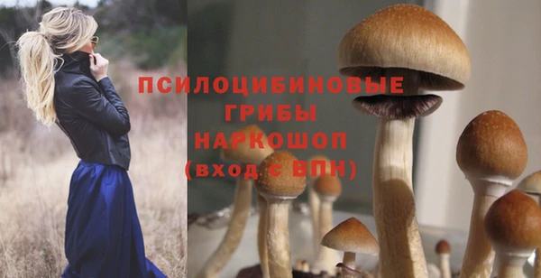прущая мука Бородино