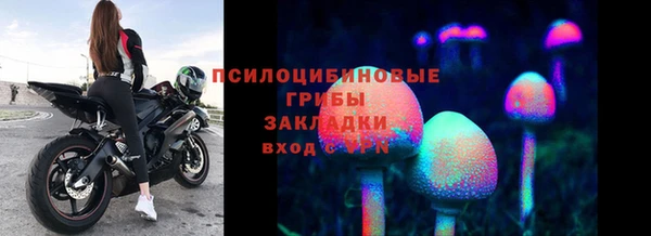прущая мука Бородино