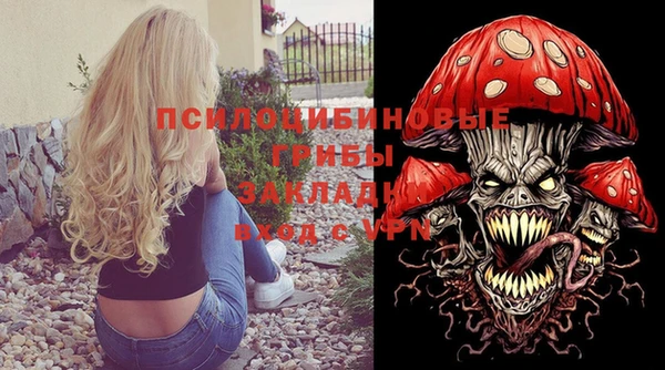 МДПВ Бугульма