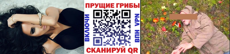 Псилоцибиновые грибы Magic Shrooms  мега tor  Моздок 